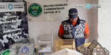 Las aves rescatadas serán liberadas en Horco Molle.