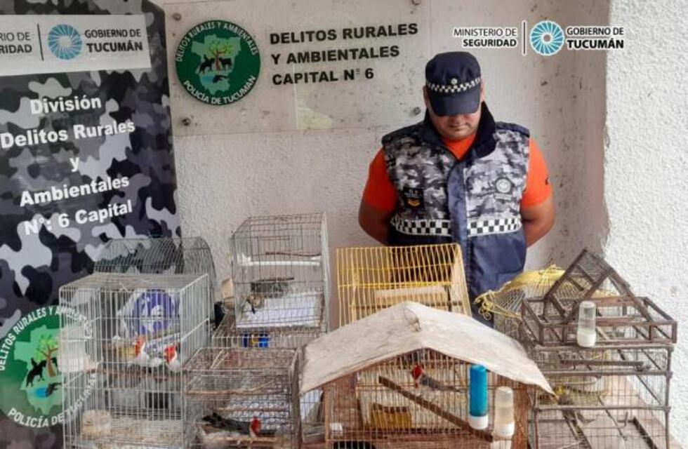 Liberarán en Horco Molle aves trampeadas ilegalmente