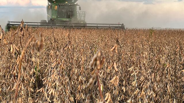 RESGUARDO DE VALOR. Mientras avanza la cosecha de soja, el productor decide no vender el grano. (Fotos Tomy Fragueiro/La Voz)
