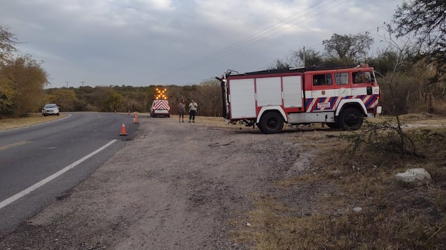Foto El Diario: incendio forestal en la autopista Justiniano Allende.