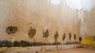 Adiós a la humedad: los cinco trucos definitivos para quitar las manchas de la pared