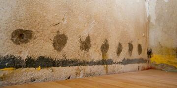 Adiós a la humedad: los cinco trucos definitivos para quitar las manchas de la pared