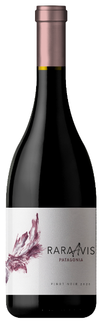 Día Internacional del Pinot Noir: descubre los maridajes ideales para este tinto elegante