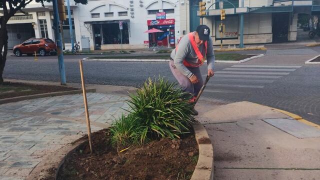 Trabajos en los canteros de la Jefatura