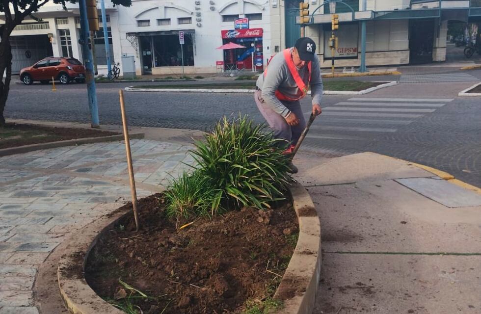 El Municipio intensifica tareas de limpieza y mantenimiento urbano
