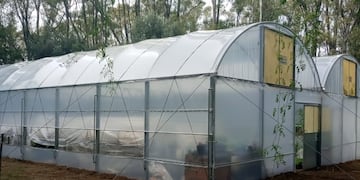 Obras en el invernadero del vivero