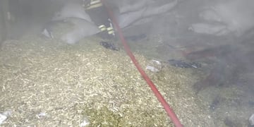 el incendio consumió 20 mil kilos de yerba canchada
