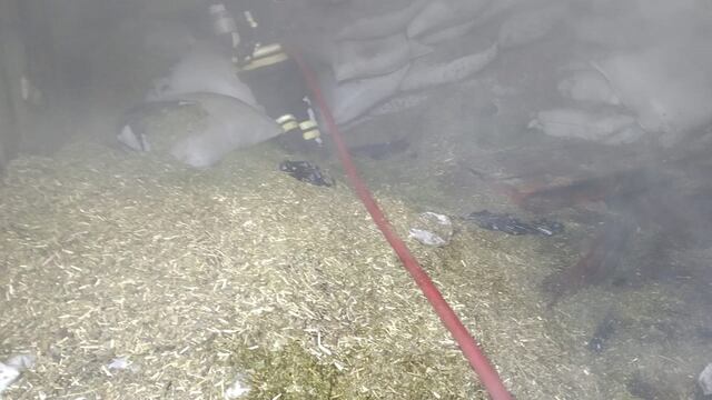 el incendio consumió 20 mil kilos de yerba canchada