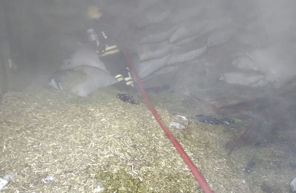 Oberá: incendio en un secadero consumió más de 20 mil kilos de yerba