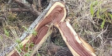 Los vecinos están indignados y la Secretaría de Abiente clausuro el predio.