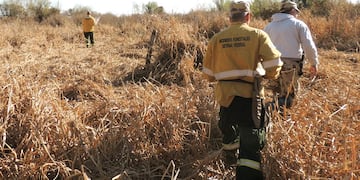 Bomberos ER