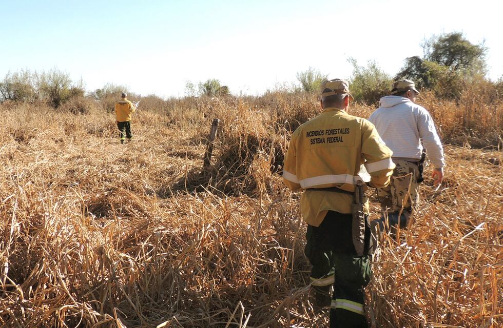 Se extiende hasta el 31 de marzo la prohibición total de quemas en todo el territorio entrerriano