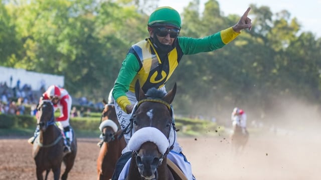 "Macklin", ganador del Vendimia 2021, es el serio candidato para quedarse con el Gran Premio Santo Patrono Santiago.