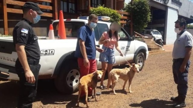 Maltrato y crueldad animal en Campo Grande.