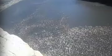 El dique está ubicado en el departamento Jáchal.