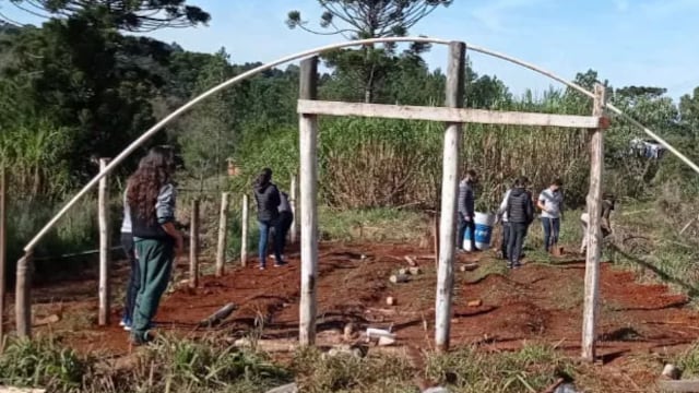 El Instituto de Enseñanza Agropecuaria N°2 de San Pedro recibieron insumos para reparar su invernáculo. Foto: Carina Martínez