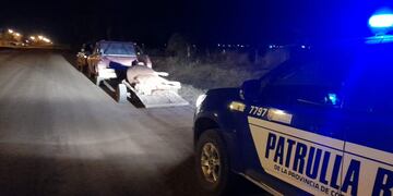 Animal faneado en Brinkmann