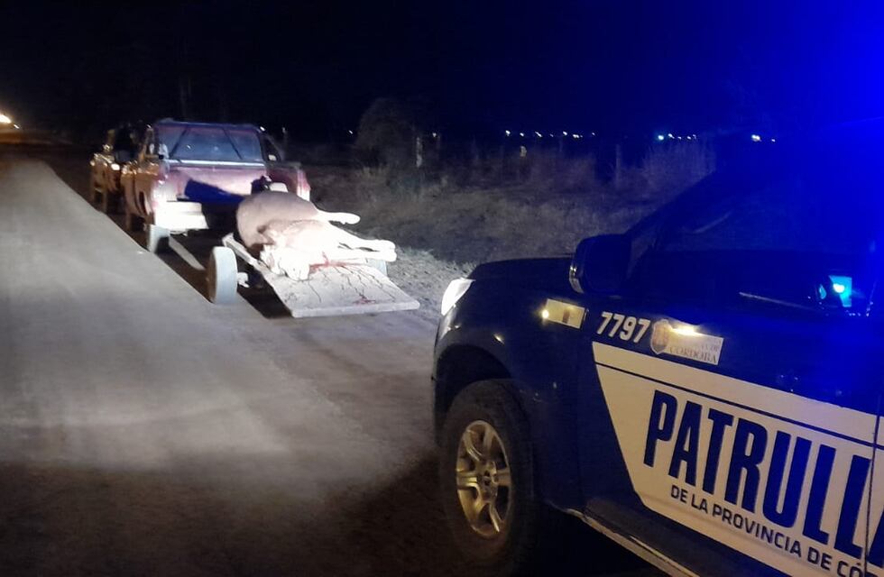 Un hombre de 41 años transportaba un animal faenado y fue detenido