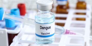 Cuánto aumentaron las vacunas contra el dengue y qué obras sociales ofrecen descuentos.
