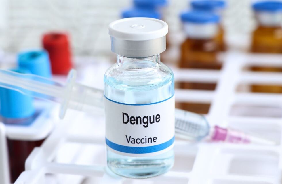 Dengue: aumentó casi el 100% la vacuna contra el mosquito