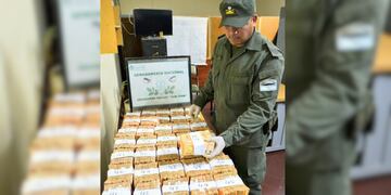 Detuvieron a un hombre que viajaba hacia Mendoza con $82 millones escondidos en bolsas.