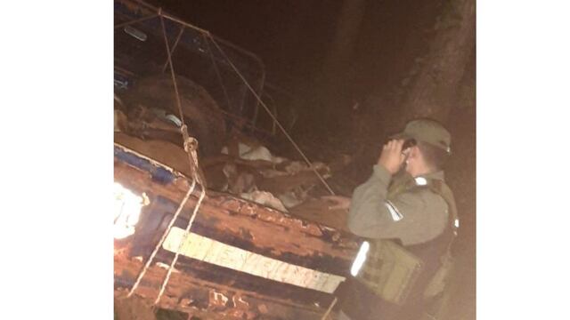 Los animales estaban atados de patas y uno de ellos había muerto.