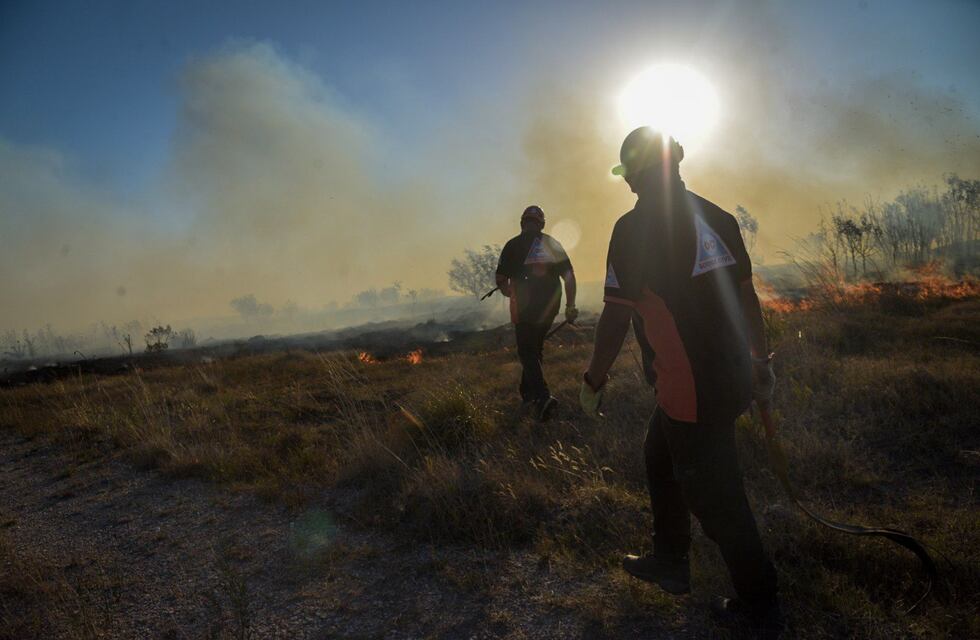 El Municipio trabajó sobre una treintena de incendios en una sola jornada