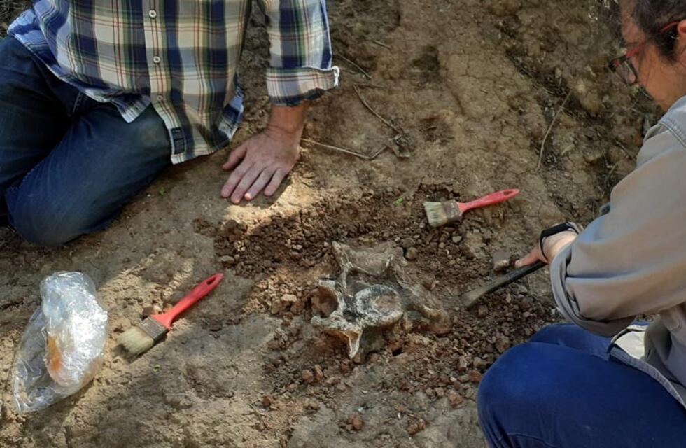 Hallazgo paleontológico en La Ramada de Abajo