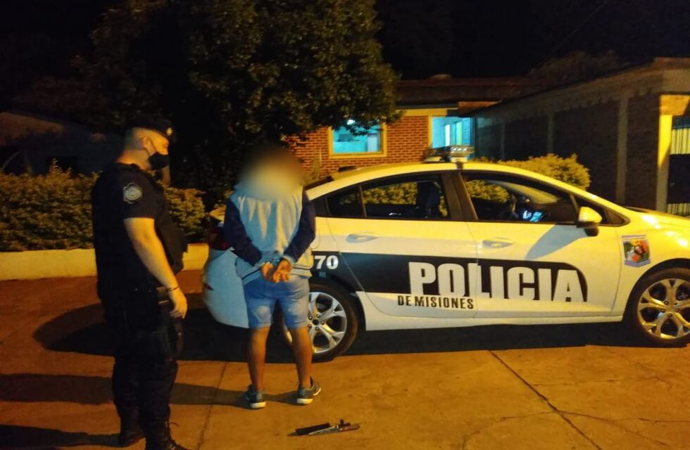 Detuvieron a dos jóvenes por robo calificado en Campo Viera
