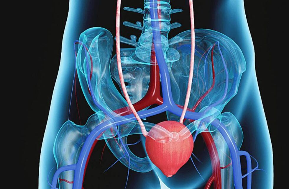 Punta Alta: charla sobre “cáncer de vejiga”
