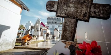La municipalidad realiza trabajos de puesta en valor en el edificio del Cementerio Antiguos Pobladores