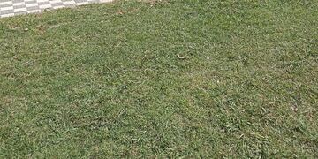 Así es la situación en la escuela de De la Canal, en Tandil.