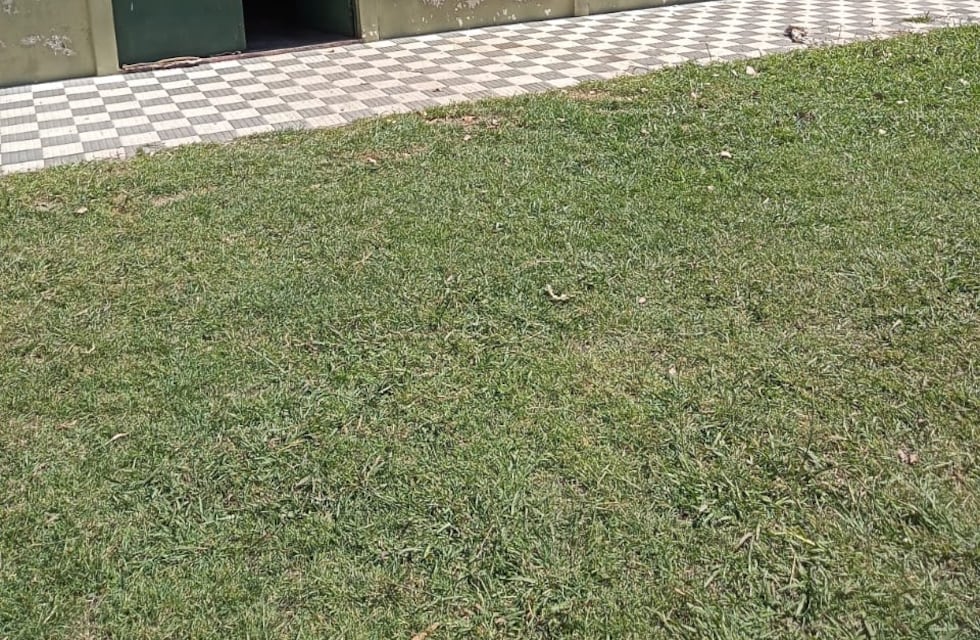 “Queremos soluciones para alumnos y no un recorte económico”: el pedido en Tandil por la falta de transporte en las escuelas