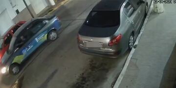 Chocó y abandonó a un perro.