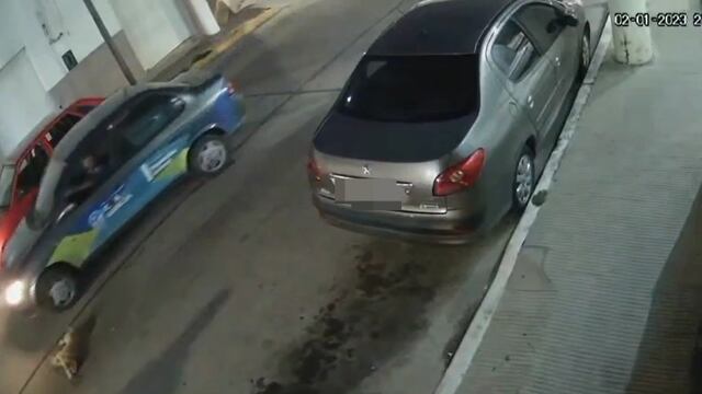 Chocó y abandonó a un perro.