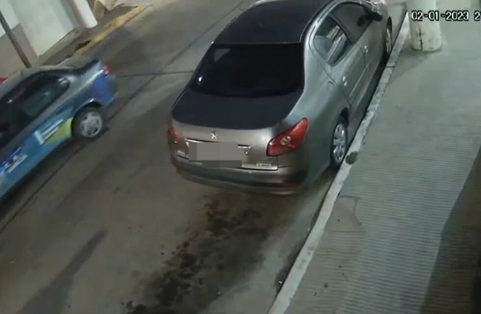 Indignación en Alta Gracia: una camioneta municipal atropelló a un perro y huyó