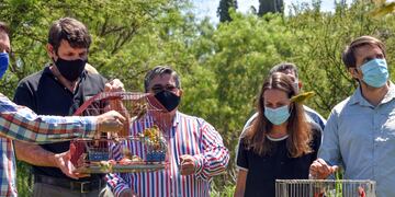 Las aves liberadas fueron rescatadas del cautiverio y rehabilitadas