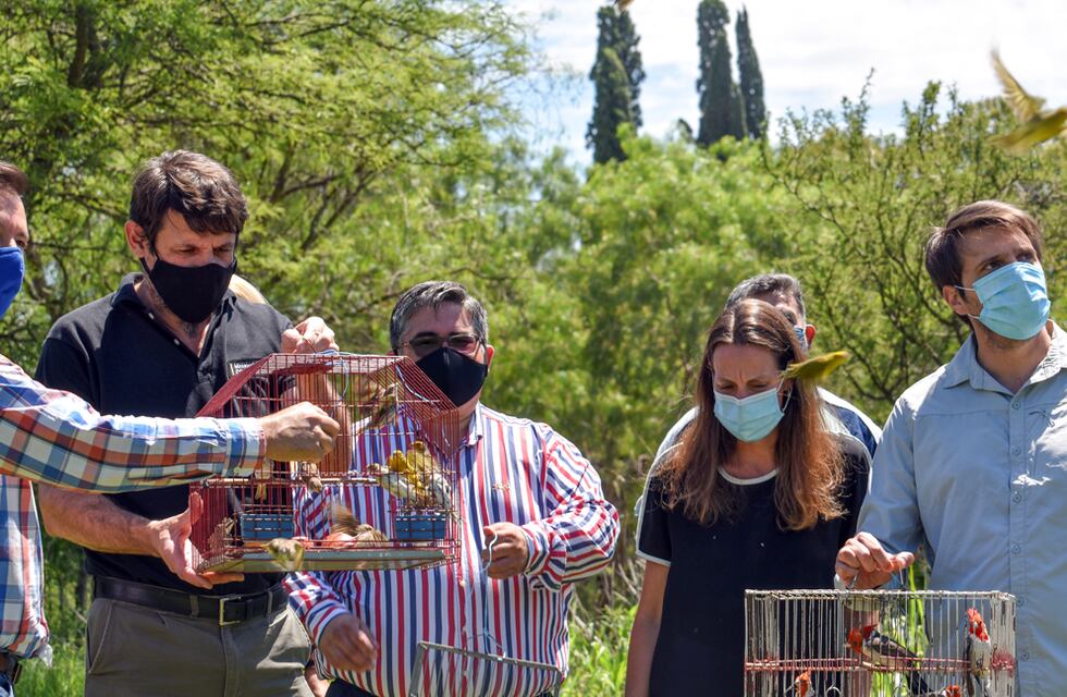 Liberaron a más de 270 aves silvestres rescatadas el tráfico ilegal en Córdoba