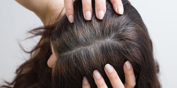canas
