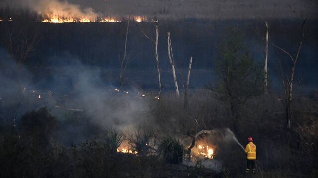 Aparecieron nuevos focos en las islas del Delta del Paraná.
