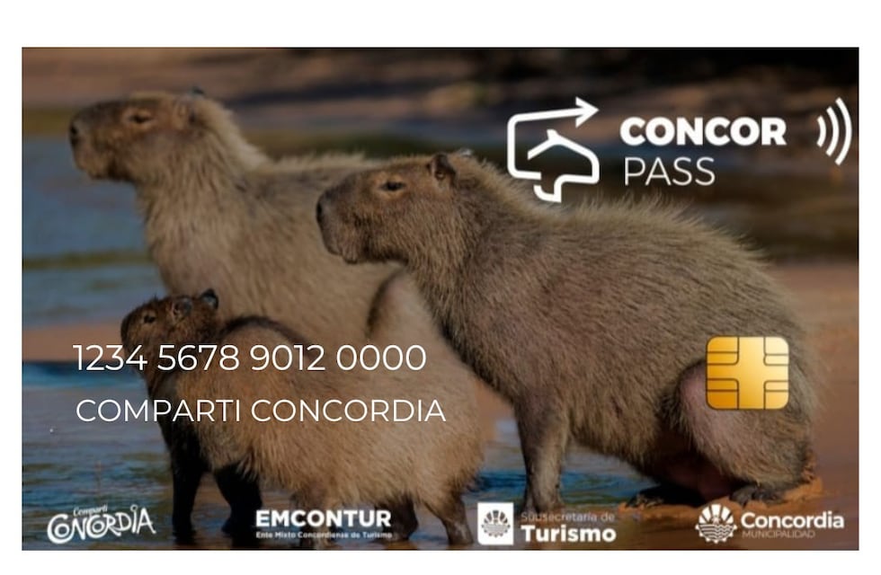 ConcorPass 2025: más de 50 prestadores ofrecen descuentos de hasta el 50% en Concordia