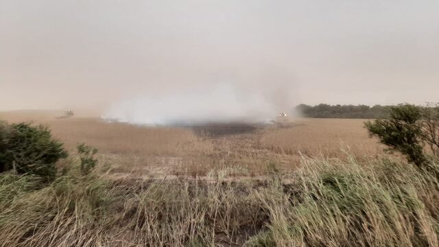 Incendio de rastrojos en La Tordilla
