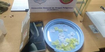Insólito: 200 semillas de marihuana llegaron desde España en un libro y una carta