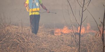 Incendios en las islas del Delta de Paraná no se terminan (@multisectorialhumedales).