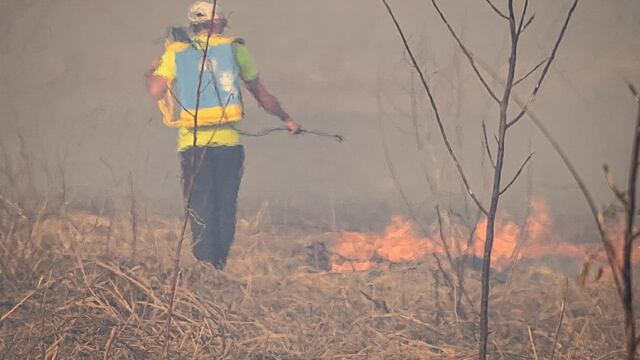 Incendios en las islas del Delta de Paraná no se terminan (@multisectorialhumedales).