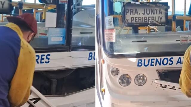 Un chofer de colectivo escuchó ruidos extraños, revisó el motor y lo que encontró lo dejó sin palabras