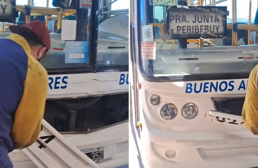Un chofer de colectivo escuchó ruidos extraños, revisó el motor y lo que encontró lo dejó sin palabras