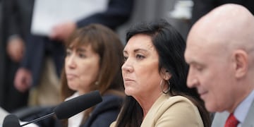La cordobesa Laura Rodríguez Machado (PRO) encabezó el plenario de comisiones (Foto: HCDN)