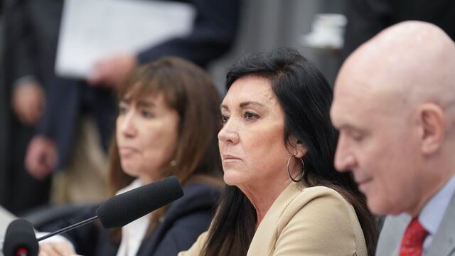 La cordobesa Laura Rodríguez Machado (PRO) encabezó el plenario de comisiones (Foto: HCDN)