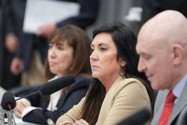 La cordobesa Laura Rodríguez Machado (PRO) encabezó el debate sobre el Régimen Penal Juvenil (Foto: HCDN)
